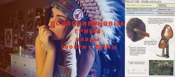 МДПВ Алексин