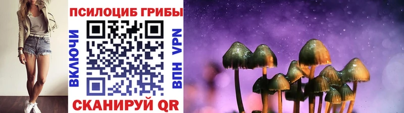 Галлюциногенные грибы Cubensis  Ставрополь 